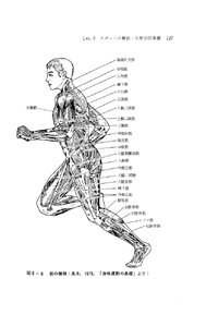 スポーツと身体運動の科学的探求